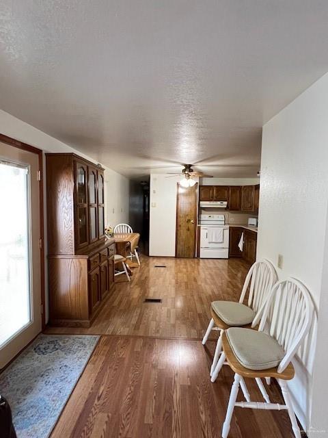 Photo 3 of 103 Rim Drive