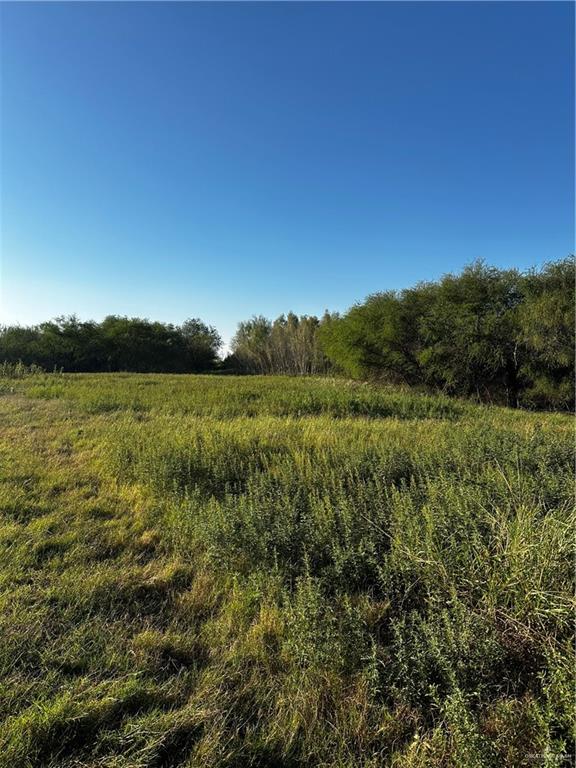 Photo 14 of N OF Mile 21 Road