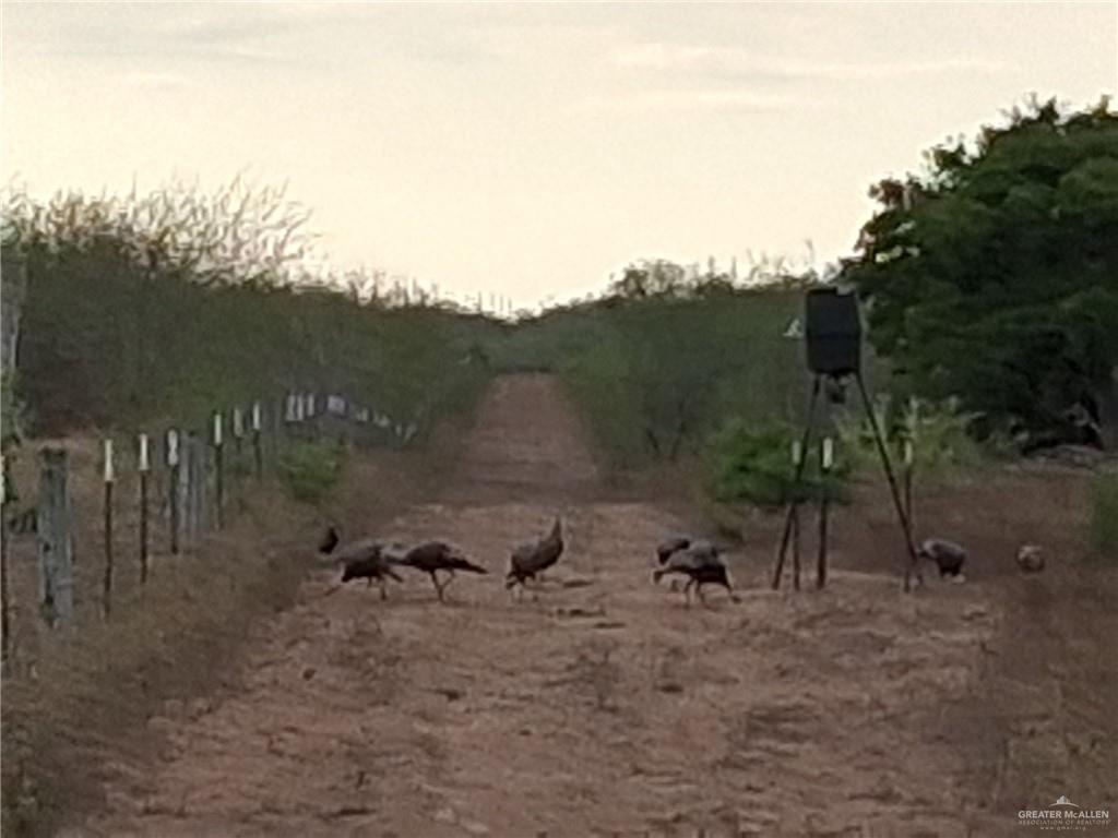 Photo 15 of 0 CR 309 Road