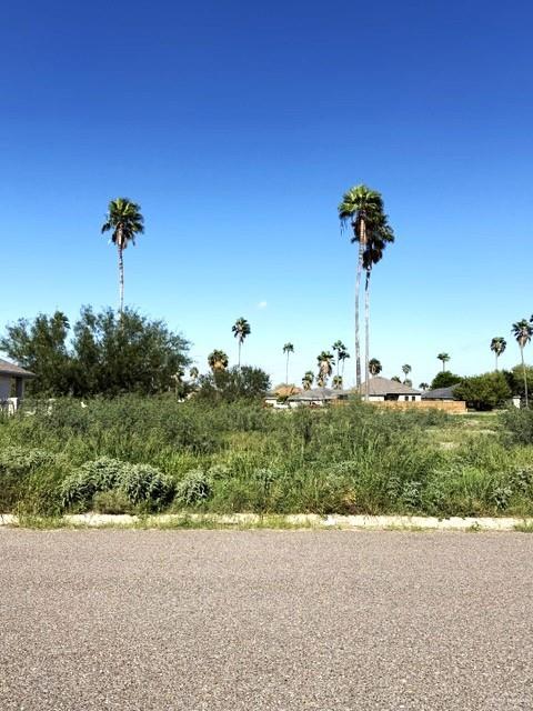 Photo 4 of 1931 Meadow Way Drive