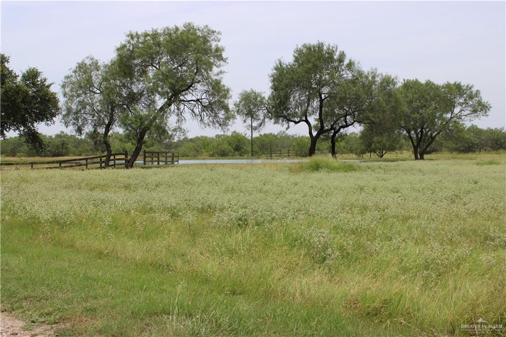 Photo 8 of 412 CR 412 Road