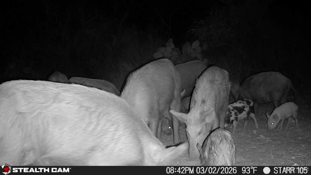 Photo 28 of 0 Private