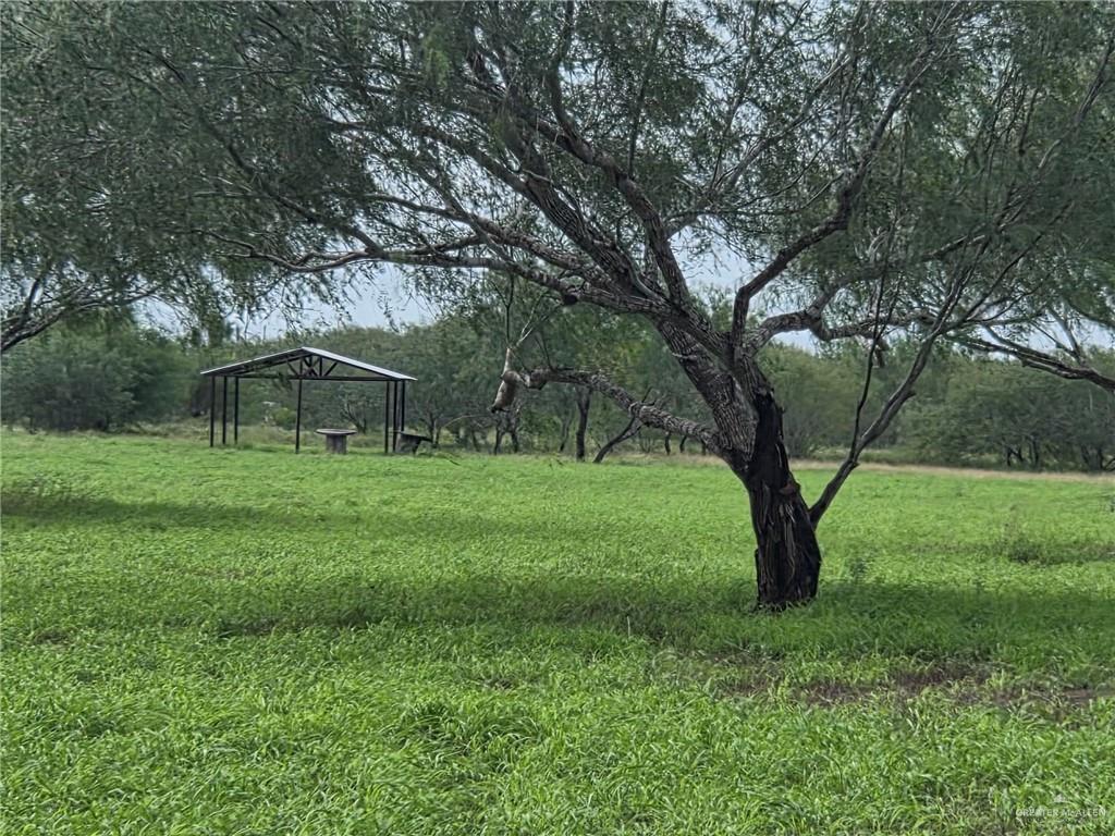 Photo 1 of 19719 Los Venados Drive, Edinburg