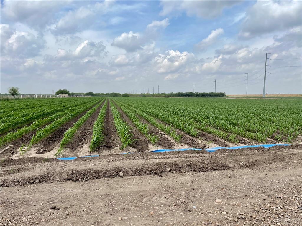 Photo 3 of TBD Frontera Road