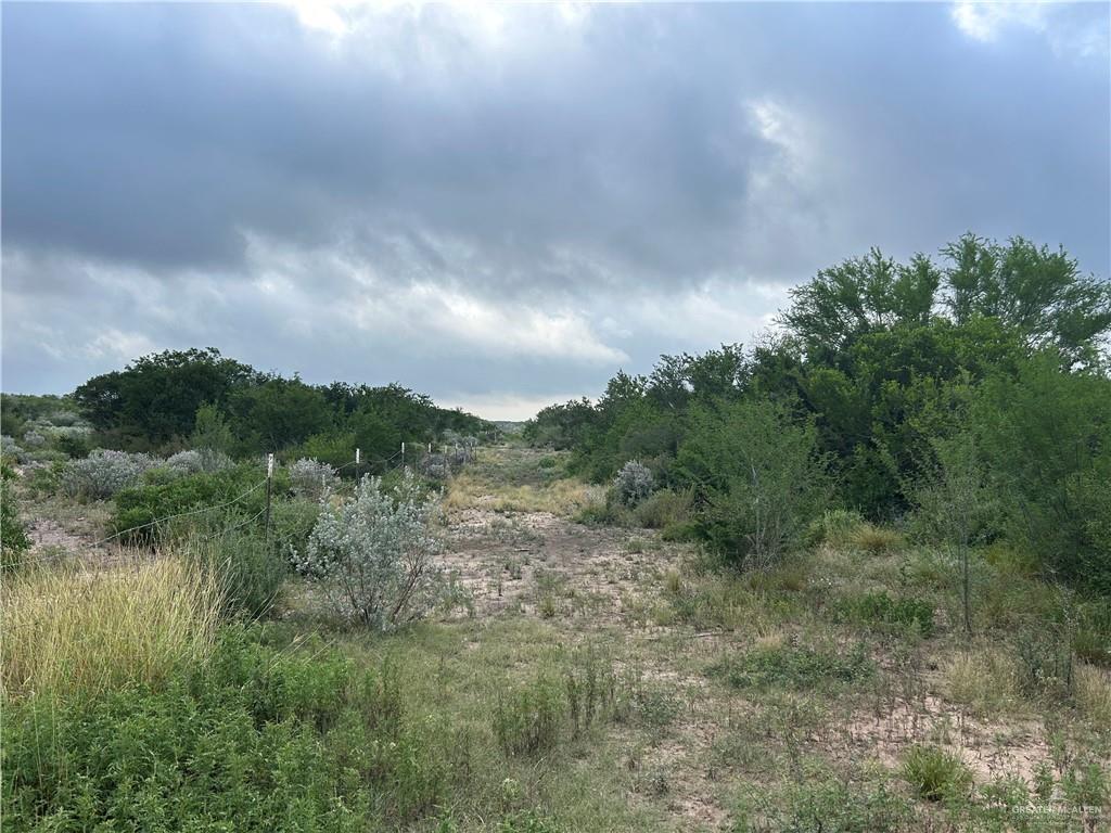 Photo 8 of 000 County Road 173